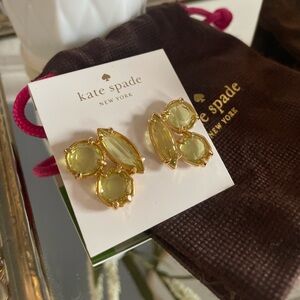Kate Spade Desert Stone Earring-with dustbag